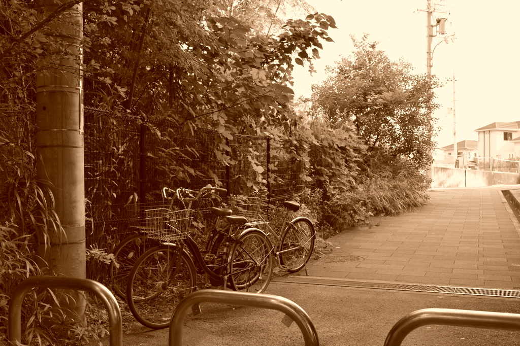 行儀の悪いものは画になることが多い