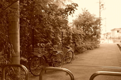 行儀の悪いものは画になることが多い