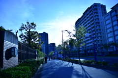 伸びる影