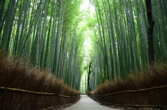 さらさら