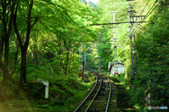 いざ高野山へ