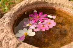 浮花
