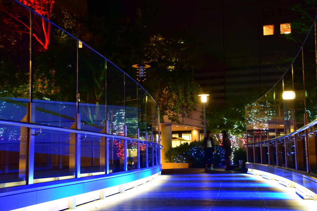 パークスイルミネーション