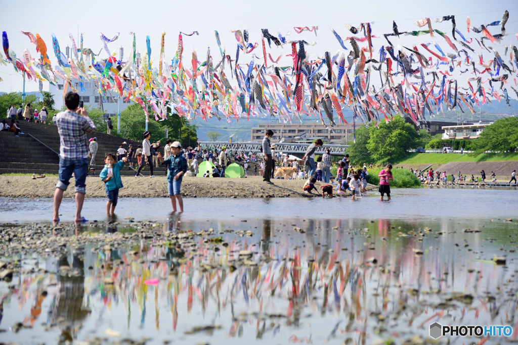 鯉のぼりより川遊び