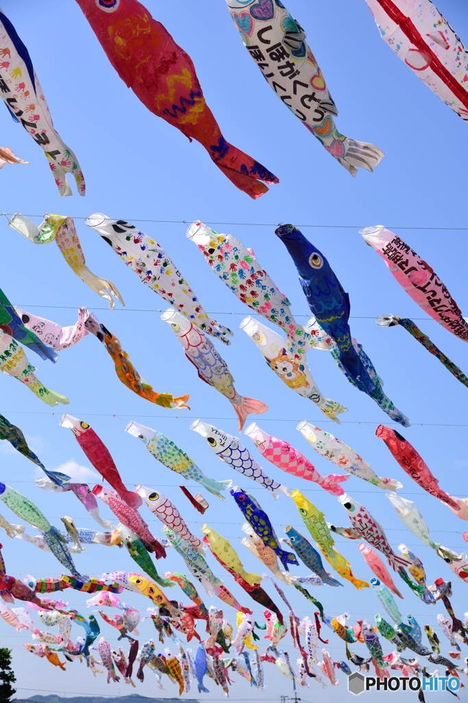 こいのぼりフェスタ1000