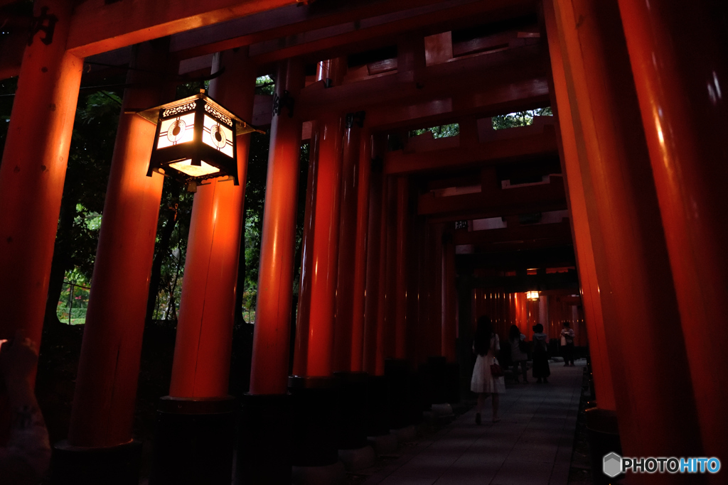 夜の千本鳥居
