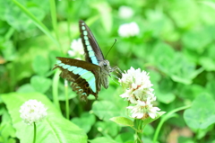 お食事タイムをご一緒に。