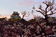 梅林と天守閣と夕暮れ