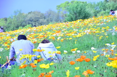 大きな背中と小さな背中