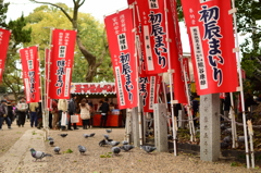 初詣