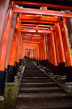 山頂をめざせ