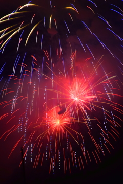 散りて舞い散る