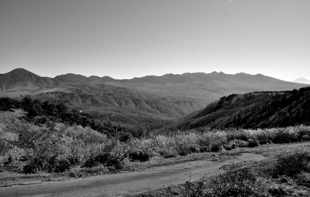 荒野