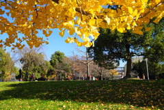 公園（4）