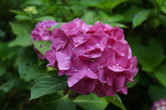 DSC03510