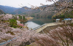 大野ダム3