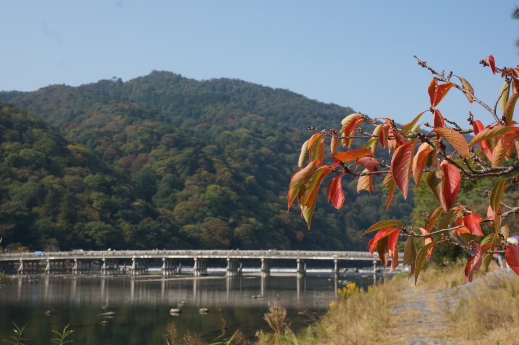 渡月橋