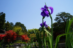 DSC02812
