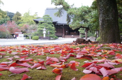 DSC00780