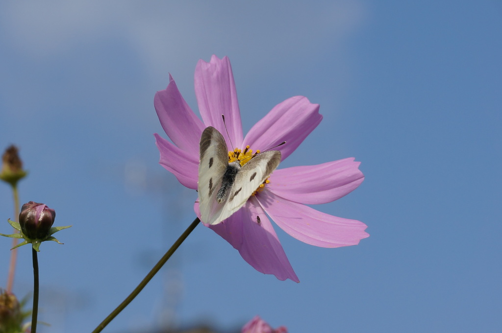 DSC00576