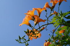 DSC03689