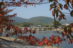 渡月橋