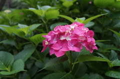 DSC03508