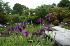 DSC03350