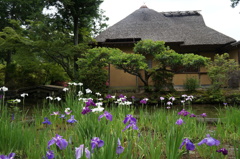 DSC03401 (1)