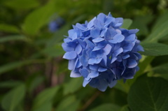 DSC03506