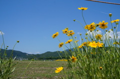 DSC00587