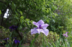 DSC03372