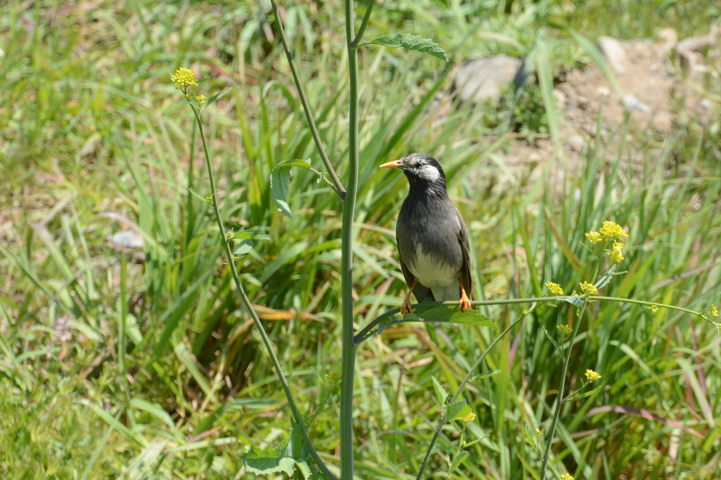 DSC_8188