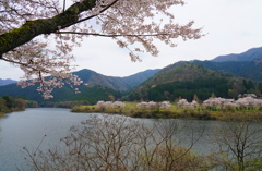 大野ダム1