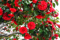 DSC00033