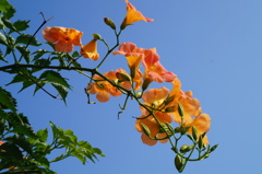 DSC03688