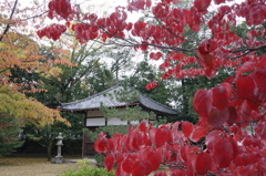DSC00783