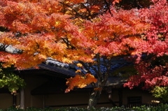 DSC01470