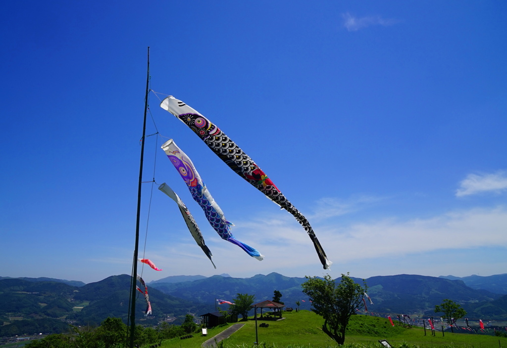 ５月の草原3