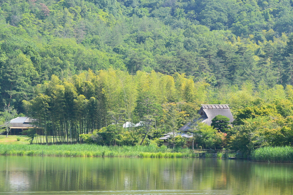 広沢の池