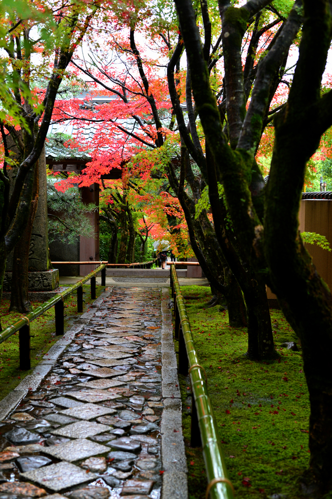 古都古寺の山門