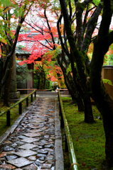 古都古寺の山門