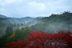 然林房の朝