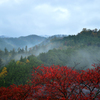 然林房の朝