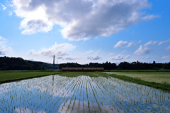 初夏の風景１