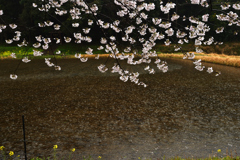 雨の日の情景Ⅱ