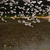 雨の日の情景Ⅱ