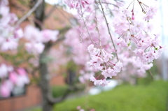 DSCF0210