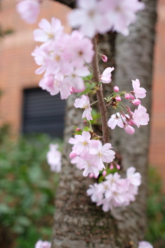 DSCF0211