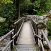 奥へ